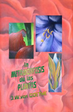 la-metamorfosis-de-las-plantas