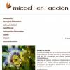 www.micaelenaccion.org.jpg